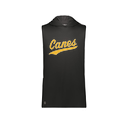 Men's CoolDry Sleeveless Hoodie